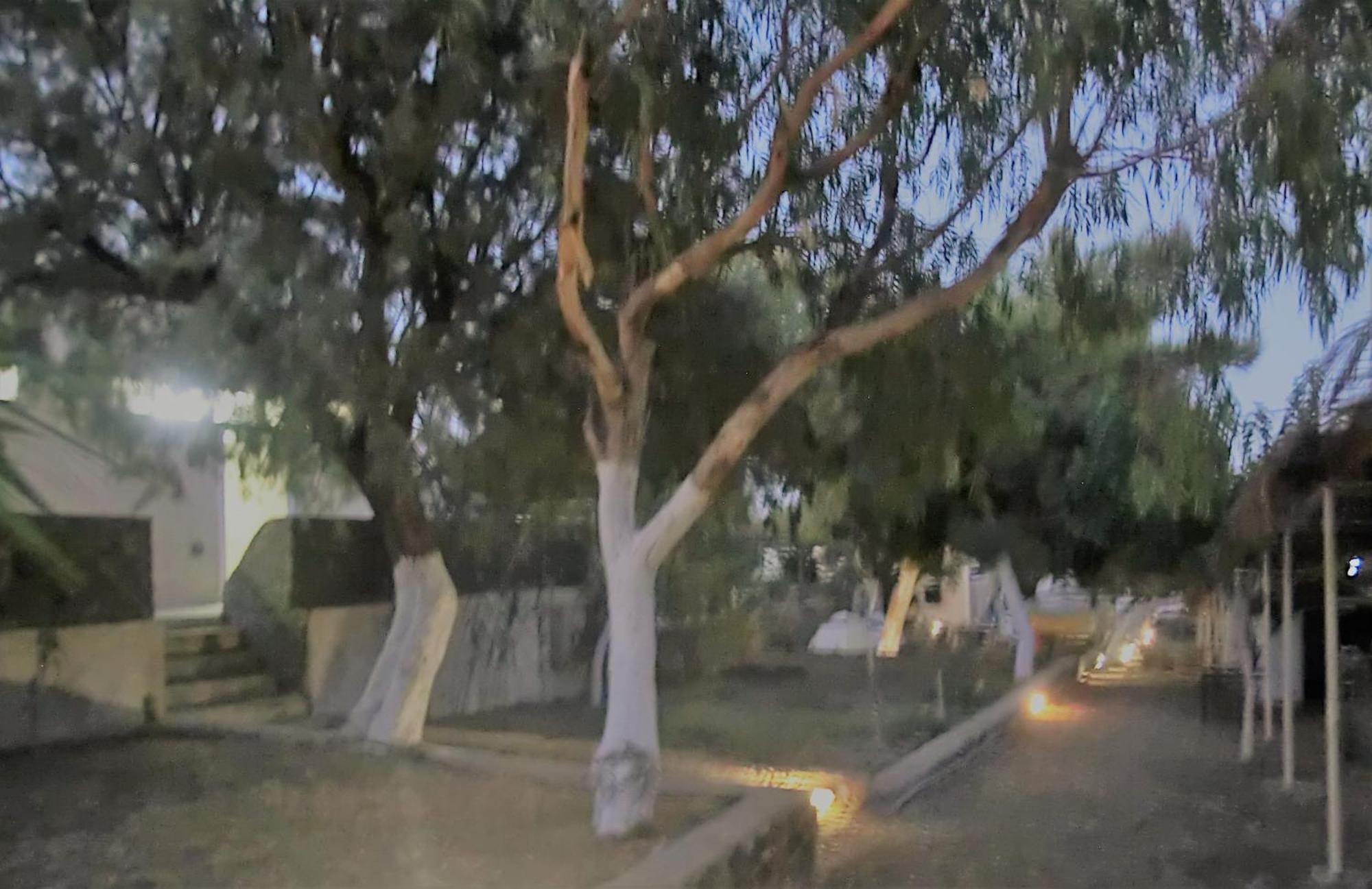 Santorini Camping&Hostel Fira  Dış mekan fotoğraf