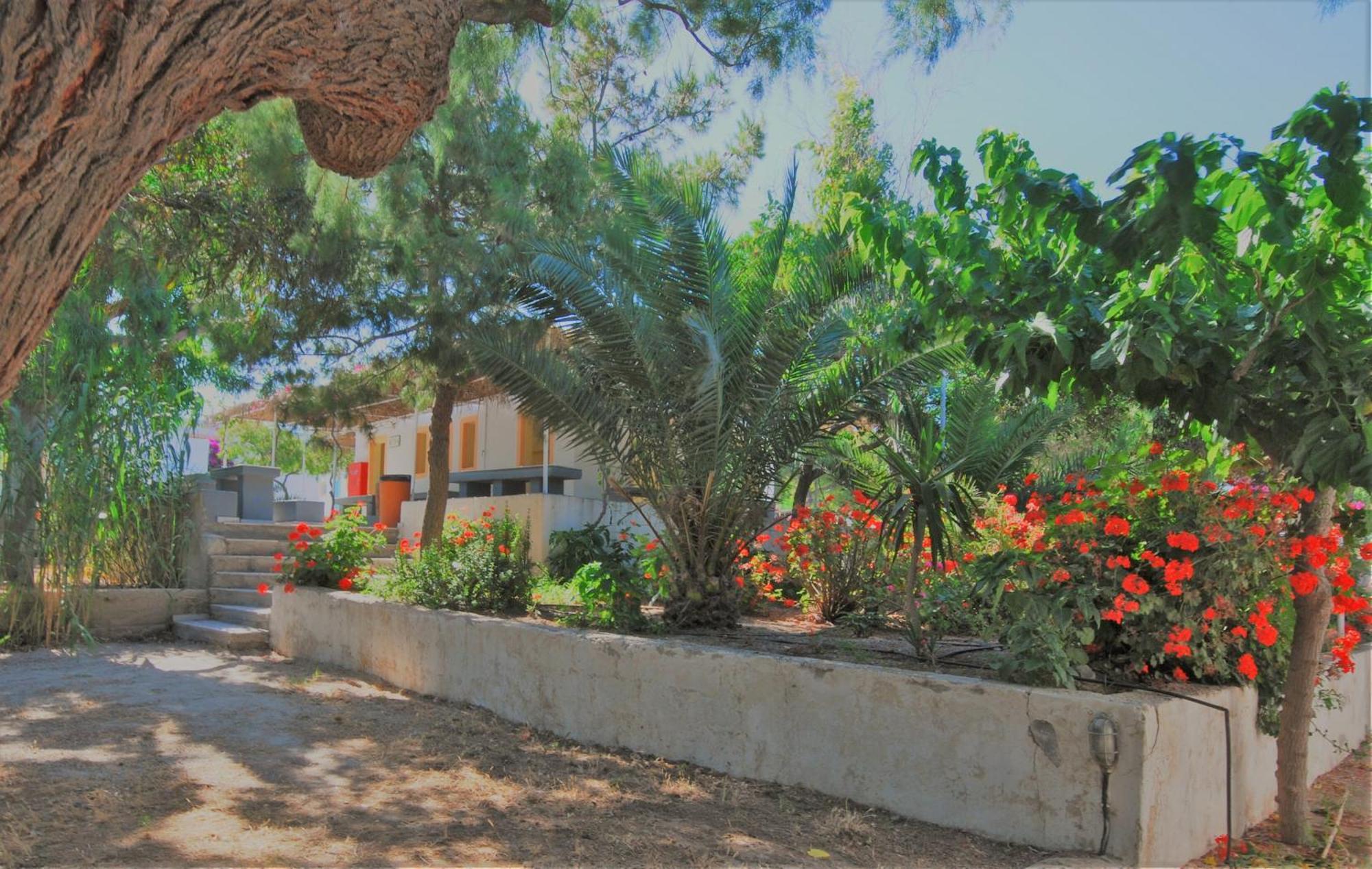 Santorini Camping&Hostel Fira  Dış mekan fotoğraf