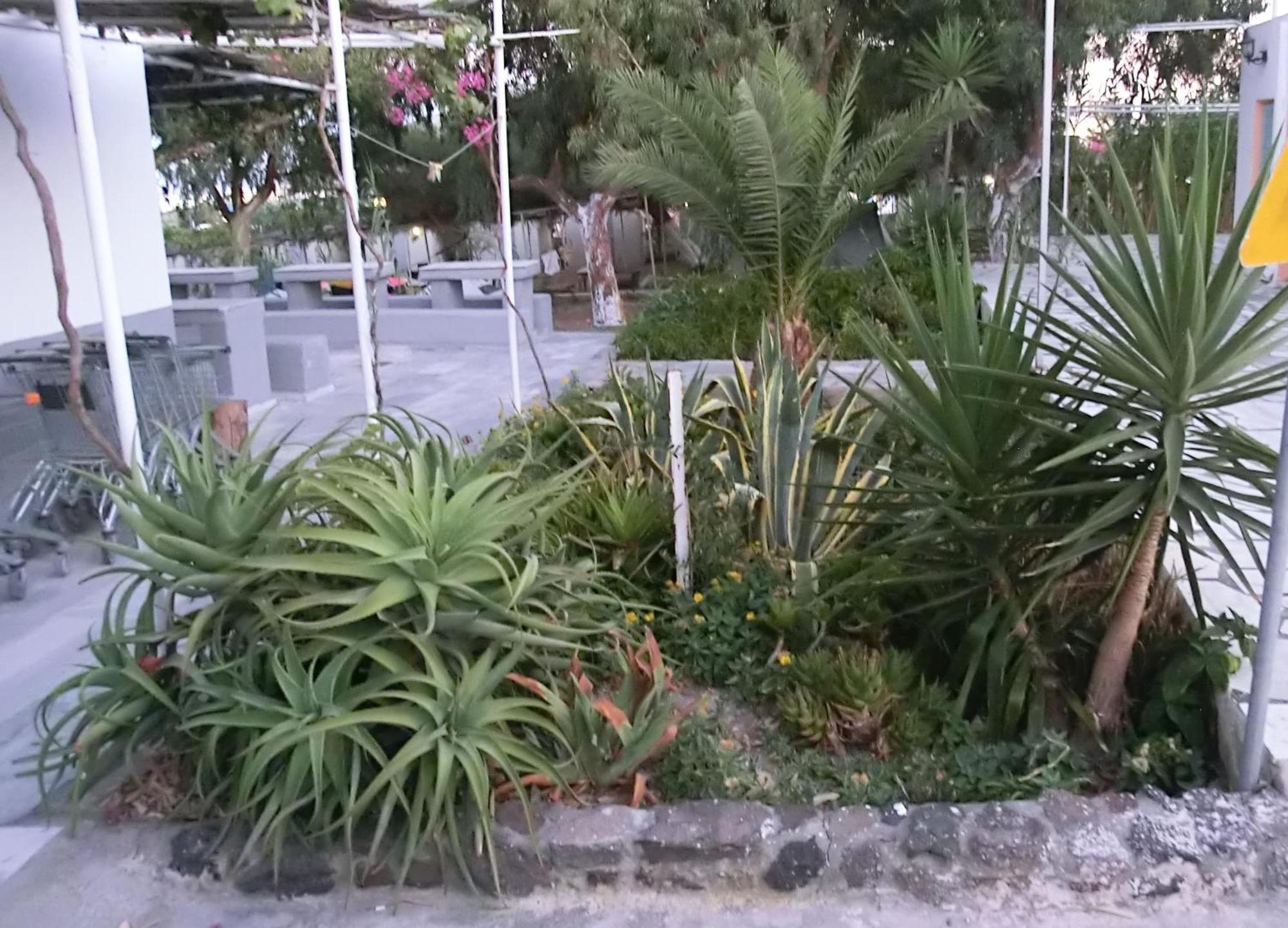Santorini Camping&Hostel Fira  Dış mekan fotoğraf